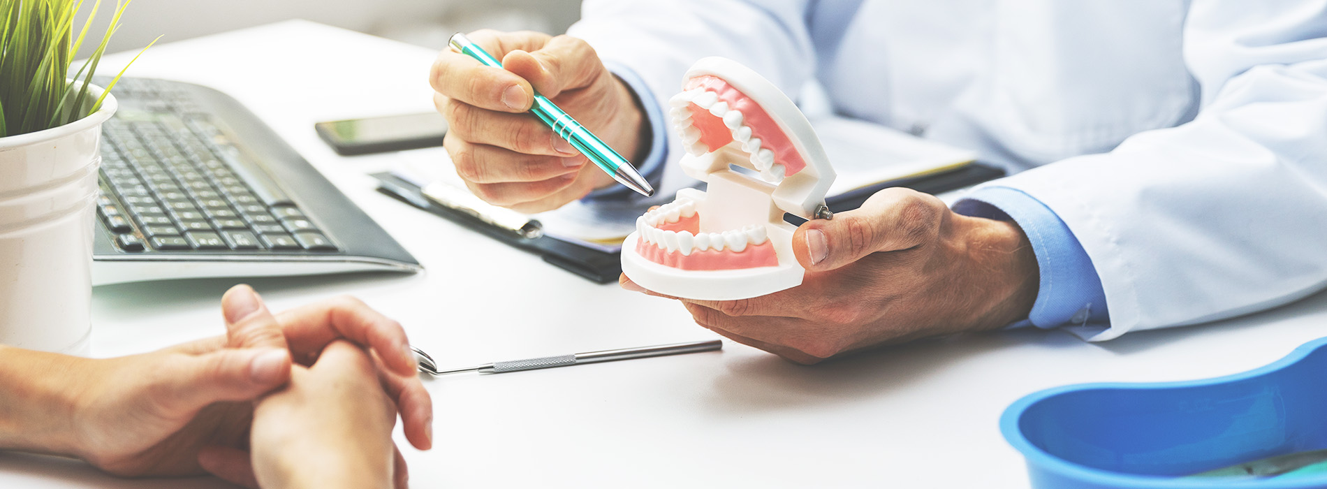 Dental professional showing model teeth to patient in office setting.